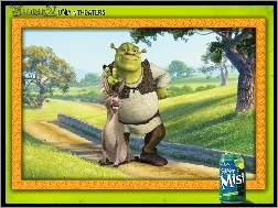 Shrek 2, Shrek, osioł